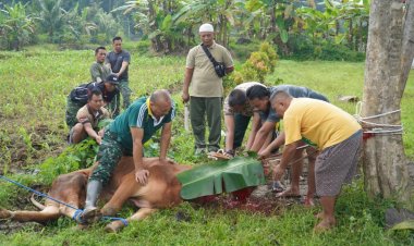 Kodim Temanggung & Warga Sroyo: Kurban Eratkan TNI-Rakyat